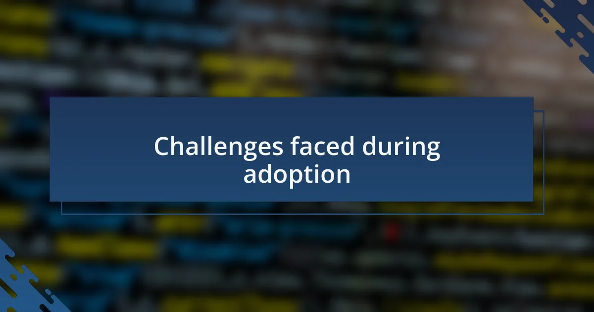 Challenges faced during adoption