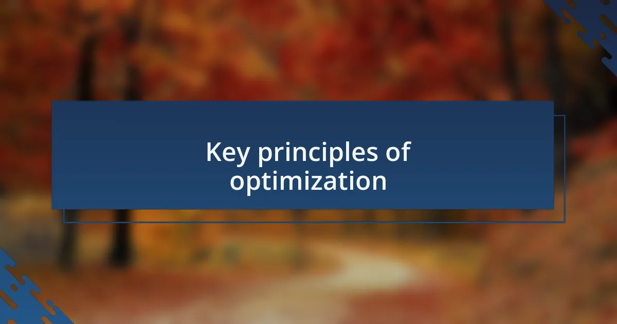 Key principles of optimization